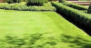 Trusted yard maintenance for outdoor upgrades in Bethpage, TN by Pioneer Lawn Care