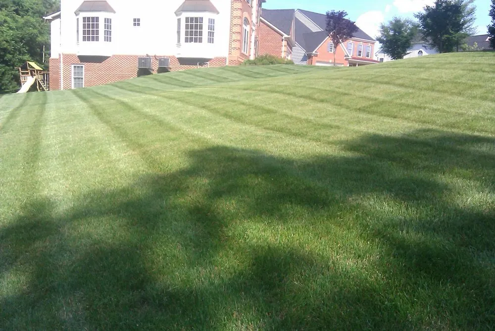 Expert yard cleanup service with custom design in Bethpage, TN by Pioneer Lawn Care