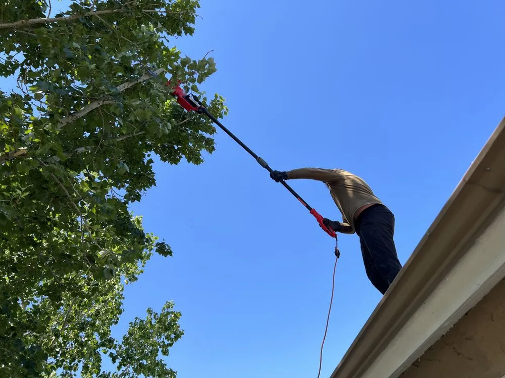 Expert outdoor landscaping in Columbia Falls, MT by Pioneer Lawn Care