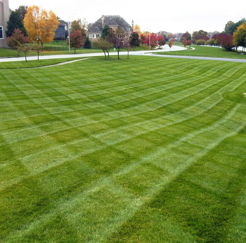 Reliable residential landscaping with custom design in Kirkwood, MO by Pioneer Lawn Care
