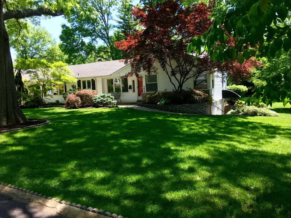 Affordable yard maintenance experts serving Kirkwood, MO - Pioneer Lawn Care
