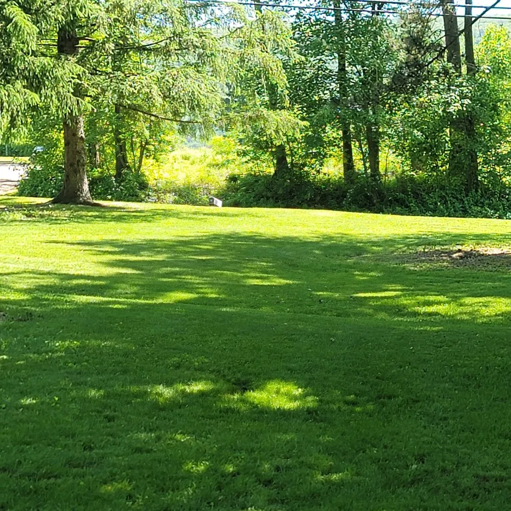 Trusted residential landscaping for residential properties across Lewisburg, PA - Pioneer Property Development