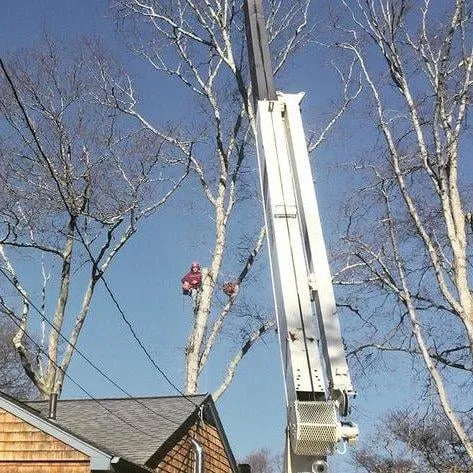 Reliable landscape design experts serving Dartmouth, MA - Pioneer Tree And Landscape Service