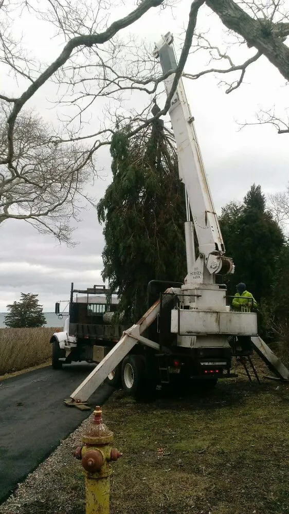 Expert landscape design experts serving Dartmouth, MA - Pioneer Tree And Landscape Service