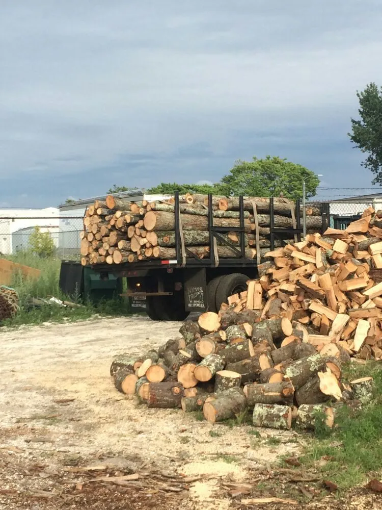 Professional outdoor landscaping in Dartmouth, MA by Pioneer Tree And Landscape Service