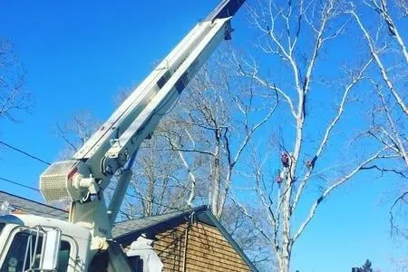 Professional landscaping services in Dartmouth, MA - Pioneer Tree And Landscape Service