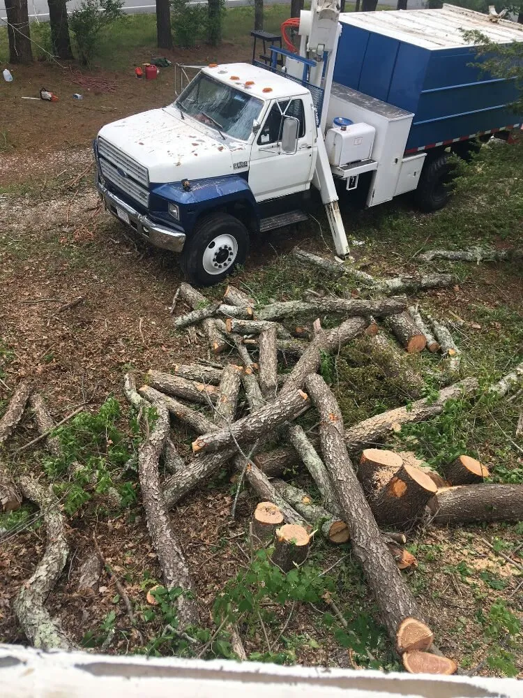 Reliable lawn care service experts serving Dartmouth, MA - Pioneer Tree And Landscape Service