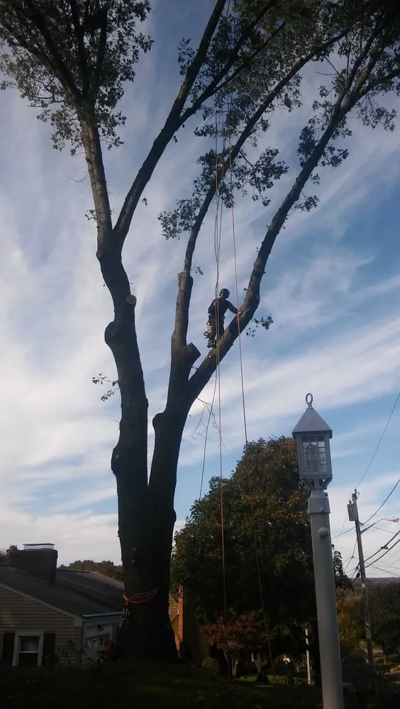 Expert residential landscaping in Dartmouth, MA - Pioneer Tree And Landscape Service