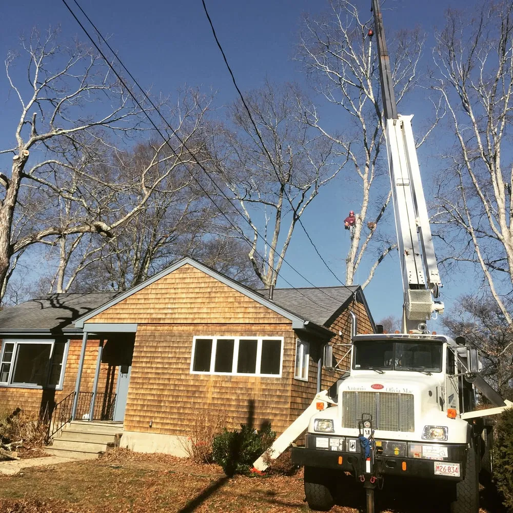 Affordable lawn care service in Dartmouth, MA - Pioneer Tree And Landscape Service