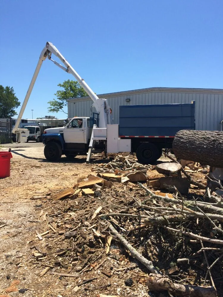 Local lawn mowing service experts serving Dartmouth, MA - Pioneer Tree And Landscape Service