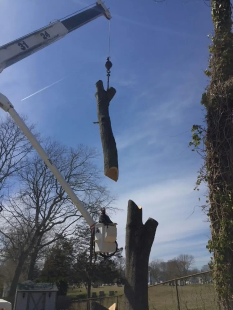 Trusted landscape design experts serving Dartmouth, MA - Pioneer Tree And Landscape Service