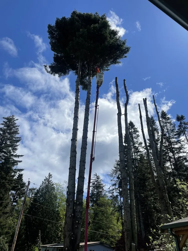 Local outdoor landscaping in Oak Harbor, WA by Pioneer Tree Service & Landscaping