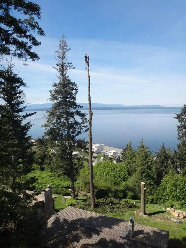 Reliable outdoor landscaping for year-round maintenance across Oak Harbor, WA - Pioneer Tree Service & Landscaping