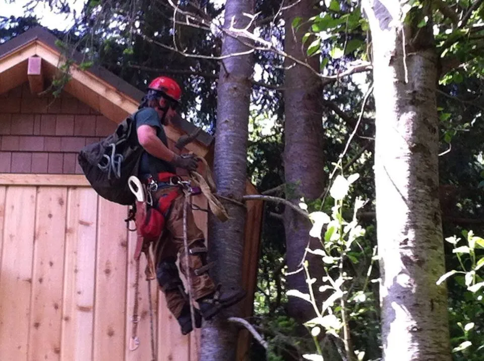 Professional landscape design with custom design across Oak Harbor, WA - Pioneer Tree Service & Landscaping