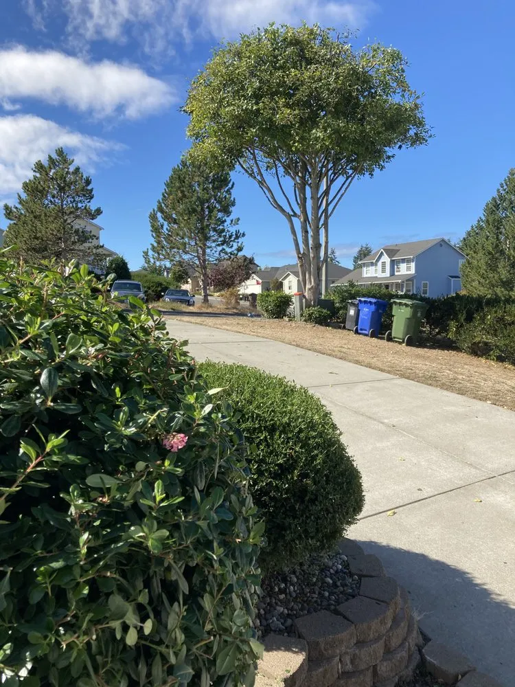 Top-rated lawn mowing service for residential properties across Oak Harbor, WA - Pioneer Tree Service & Landscaping