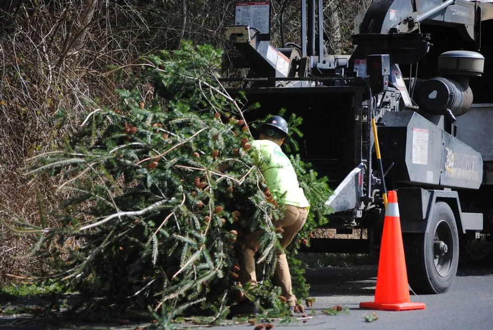 Affordable outdoor landscaping in Oak Harbor, WA by Pioneer Tree Service & Landscaping