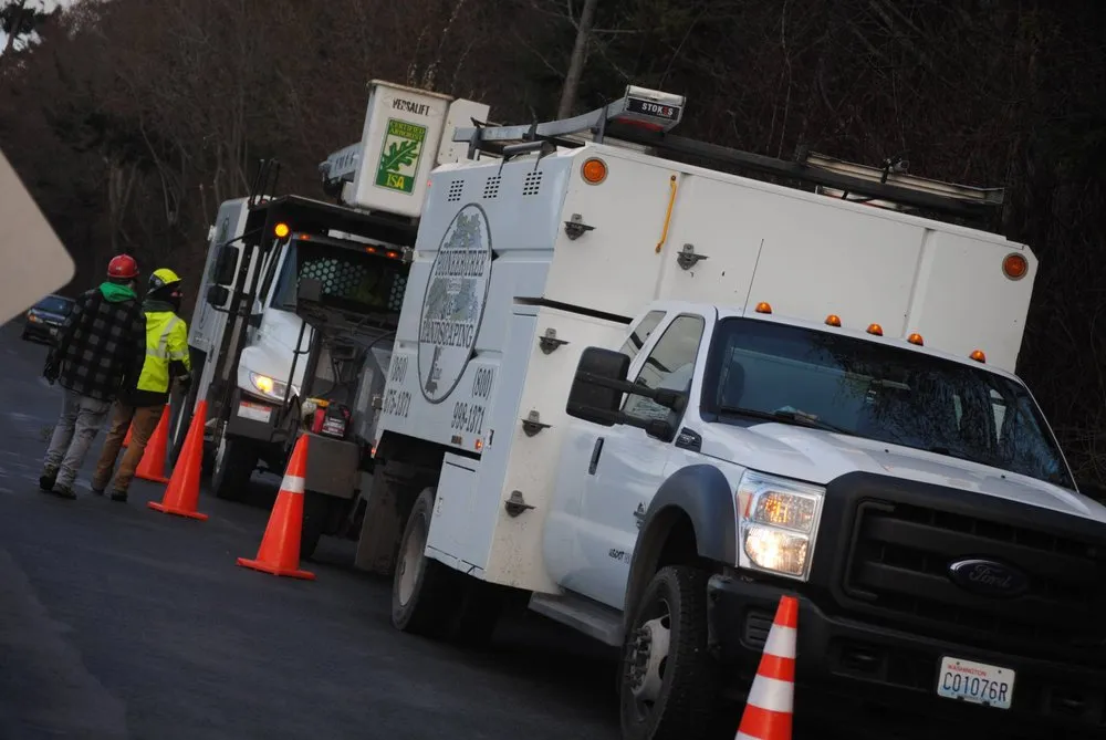 Expert yard cleanup service for beautiful yards across Oak Harbor, WA - Pioneer Tree Service & Landscaping