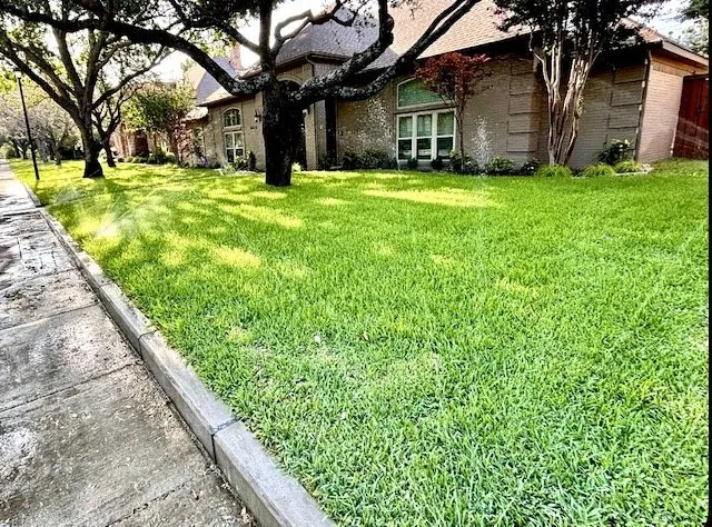 Reliable yard maintenance near you in Plano, TX by Pioneer Water & Land
