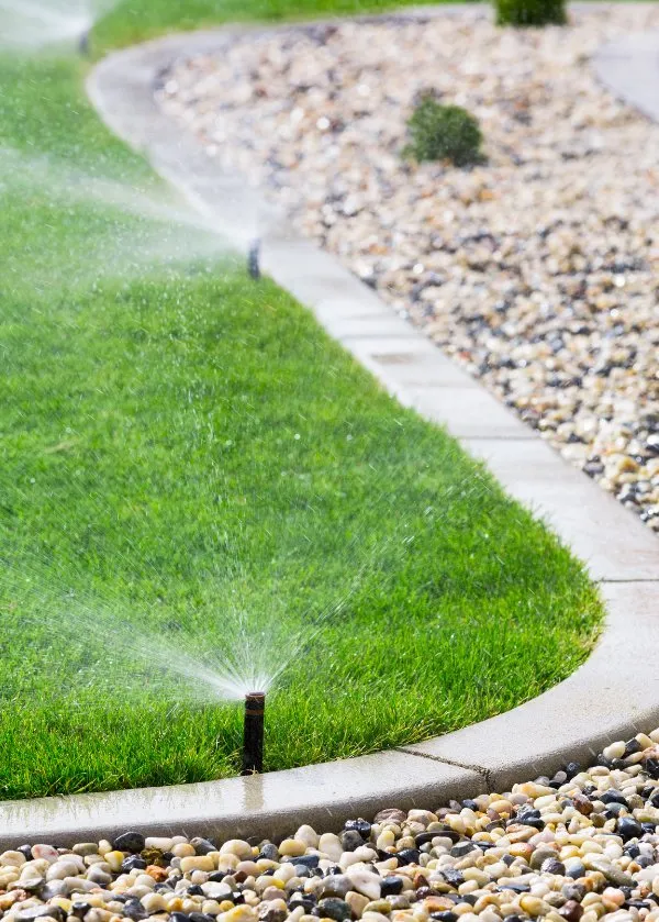 Custom yard cleanup service in Plano, TX - Pioneer Water & Land