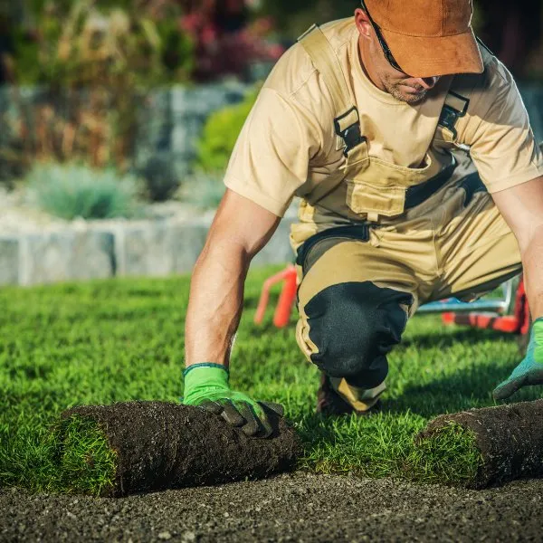 Expert yard cleanup service experts serving Plano, TX - Pioneer Water & Land