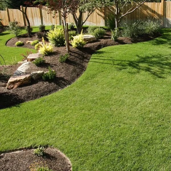 Professional lawn care service experts serving Plano, TX - Pioneer Water & Land