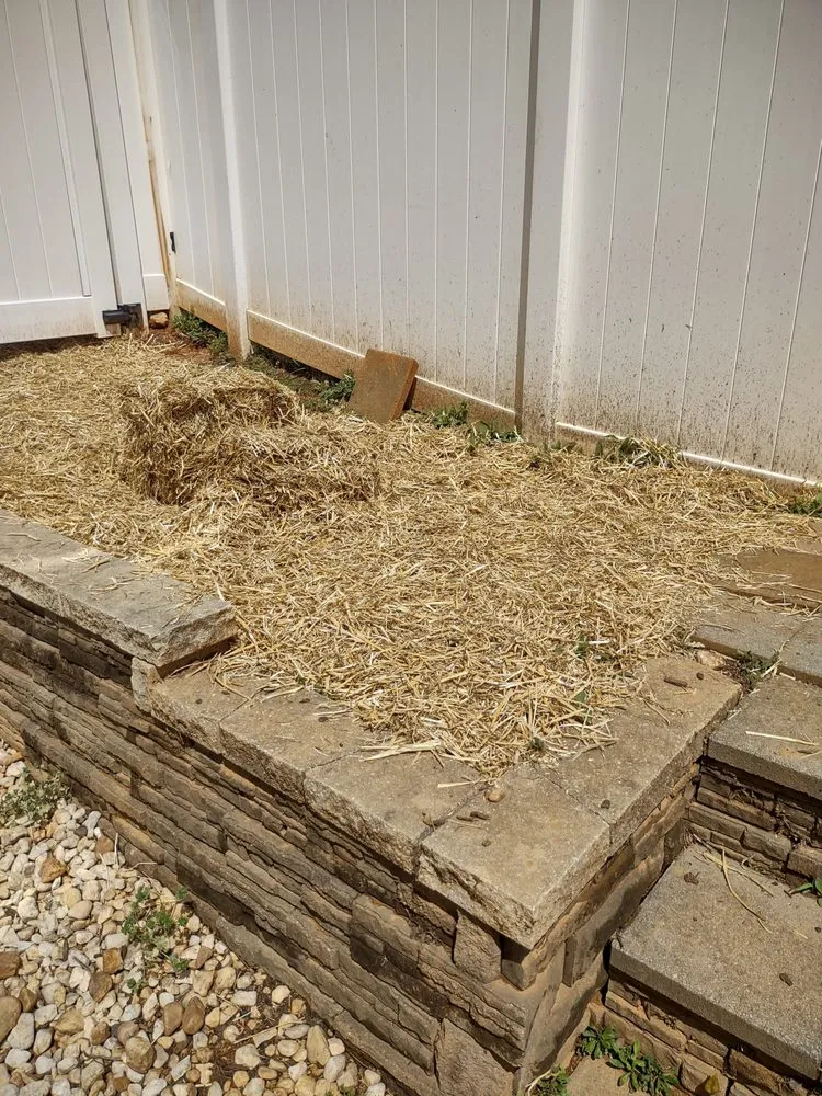 Reliable landscape installation in Fort Lawn, SC by Pioneering Homescapes