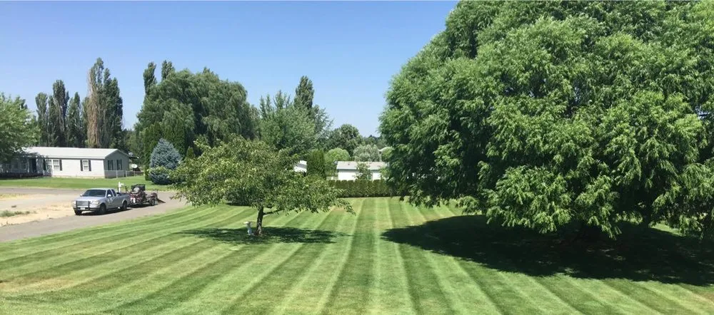 Professional landscaping services experts serving Pasco, WA - Pipo's Lawn Care