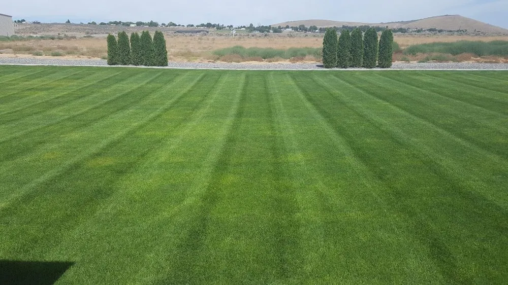 Local residential landscaping experts serving Pasco, WA - Pipo's Lawn Care