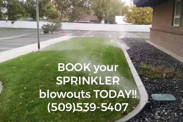 Top-rated residential landscaping in Pasco, WA by Pipo's Lawn Care