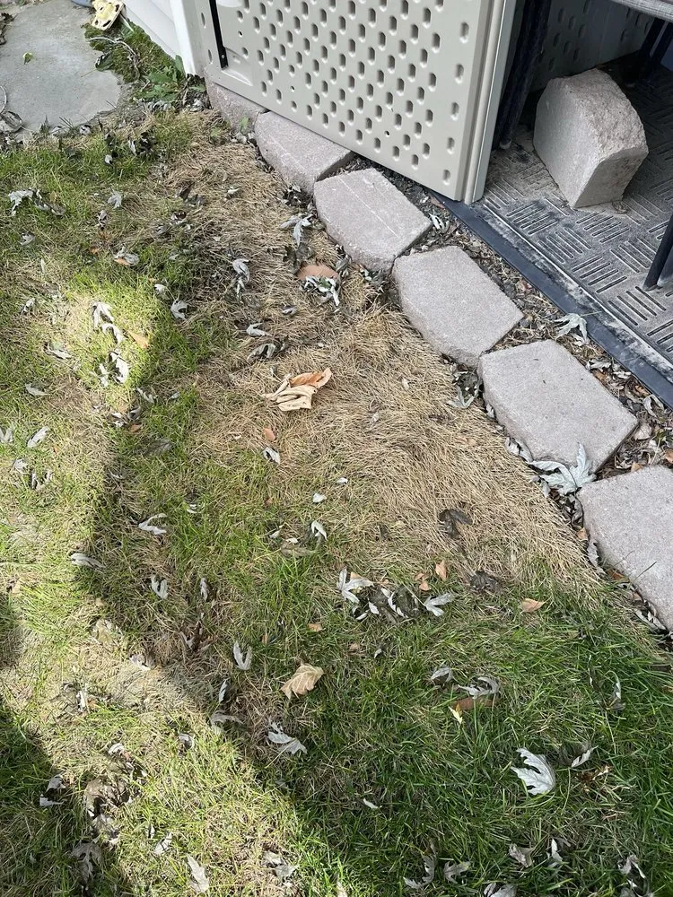 Top-rated lawn mowing service in Pasco, WA - Pipo's Lawn Care