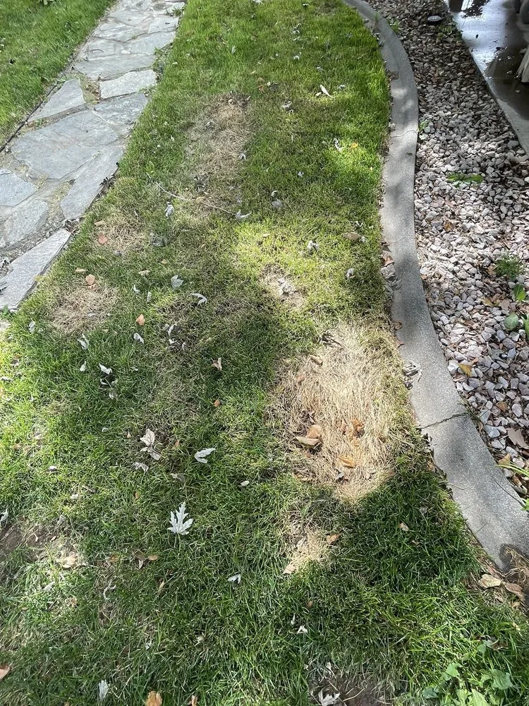 Trusted landscape installation for outdoor upgrades in Pasco, WA by Pipo's Lawn Care