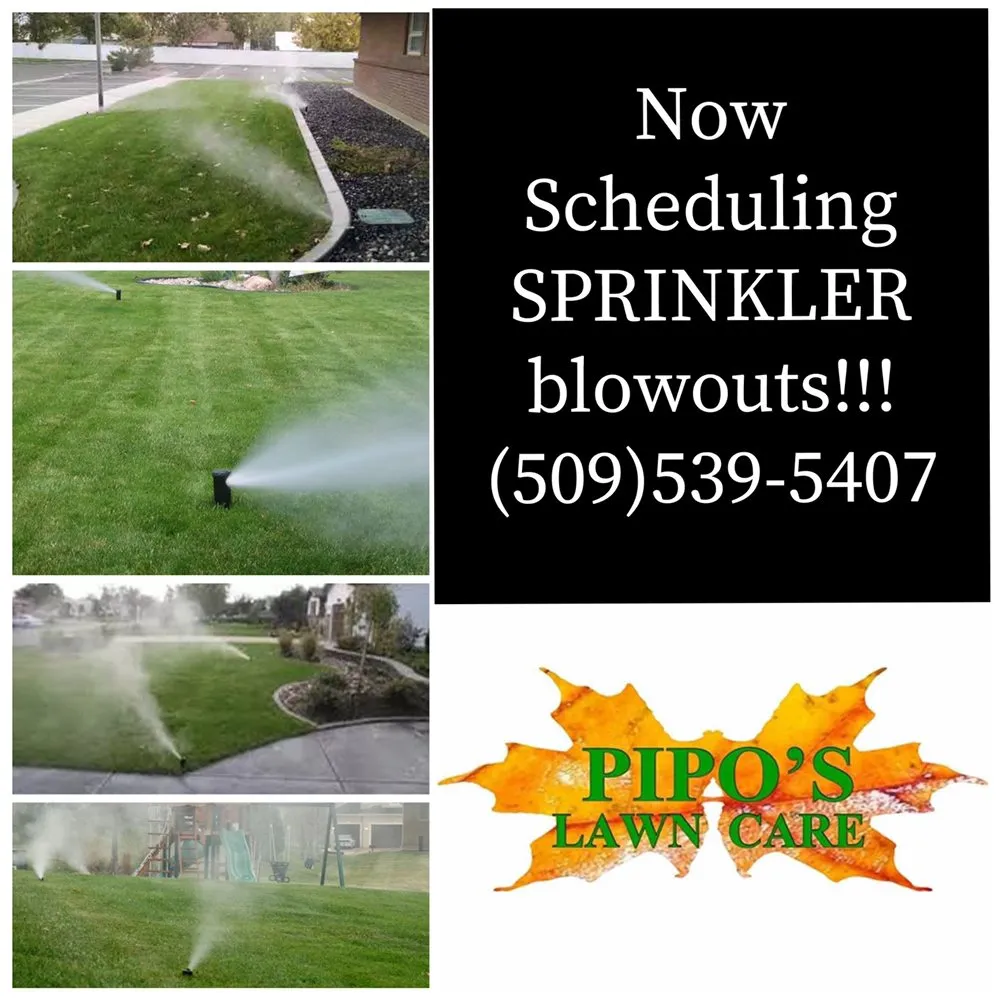 Expert landscape installation in Pasco, WA - Pipo's Lawn Care