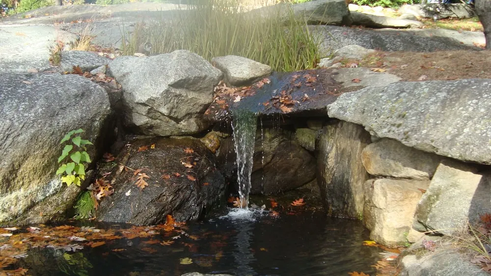 Expert landscape installation for beautiful yards across Westchester County, NY - Pippenger & Son
