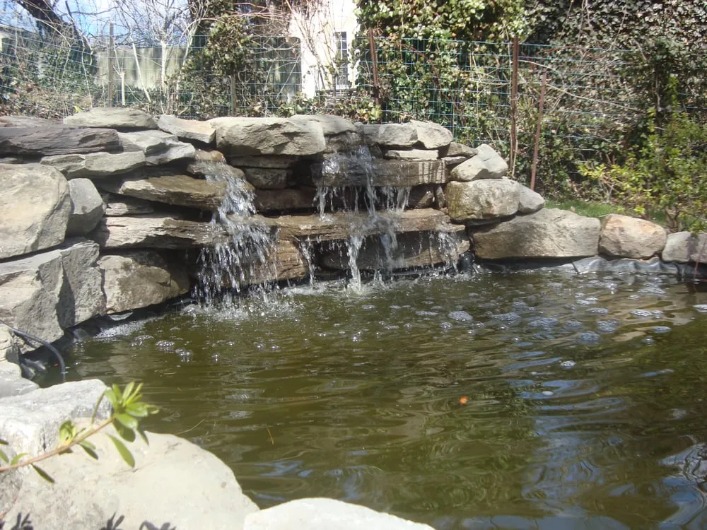 Professional lawn care service experts serving Westchester County, NY - Pippenger & Son