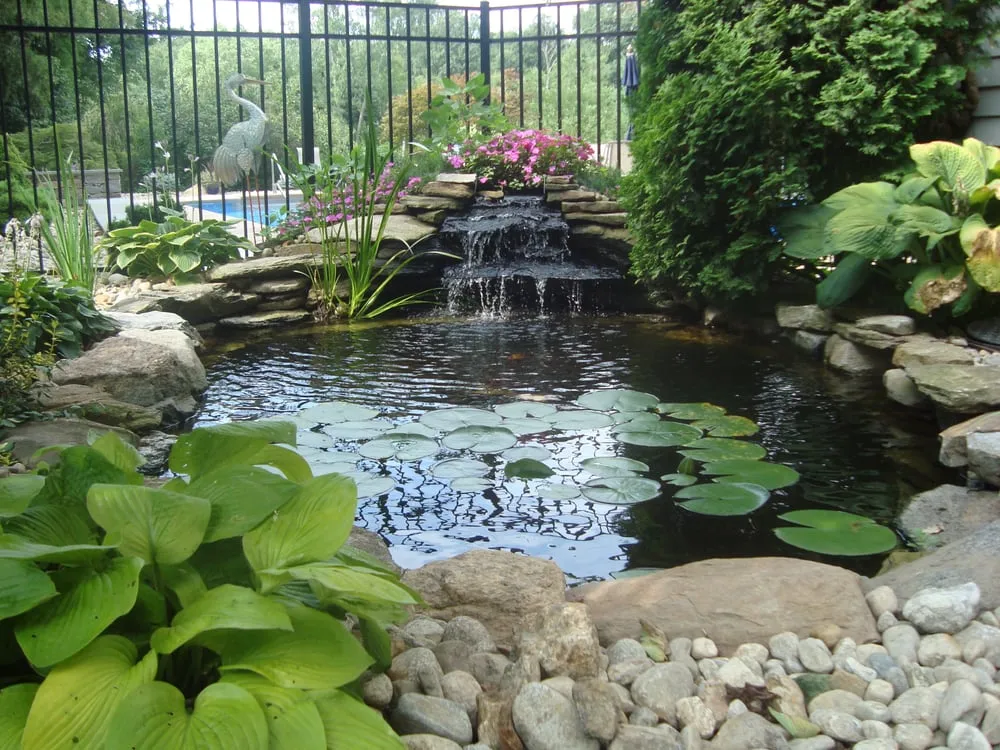 Professional yard maintenance in Westchester County, NY - Pippenger & Son