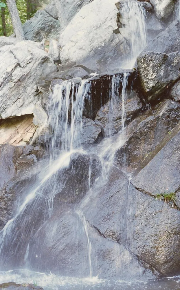 Reliable landscape installation experts serving Westchester County, NY - Pippenger & Son