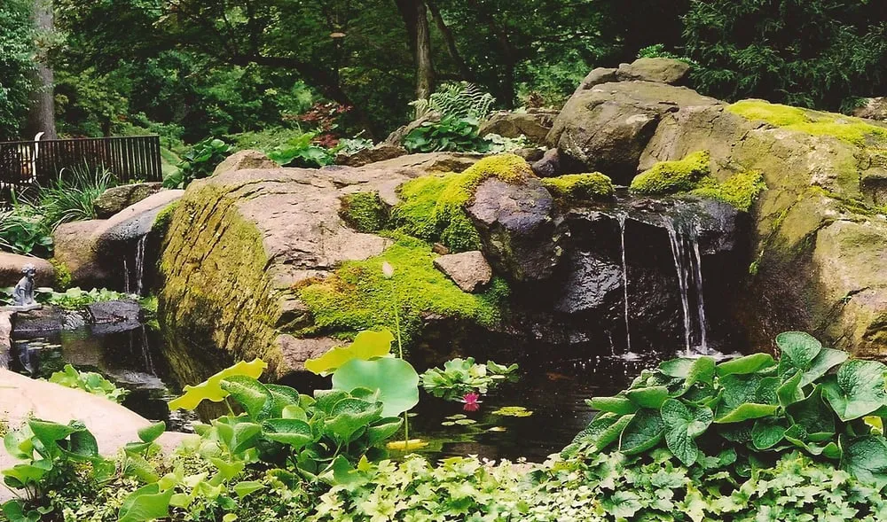Affordable landscape installation in Westchester County, NY by Pippenger & Son