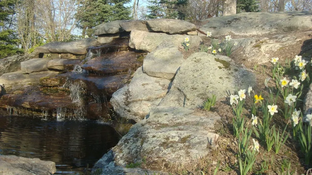 Top-rated landscape design in Westchester County, NY by Pippenger & Son