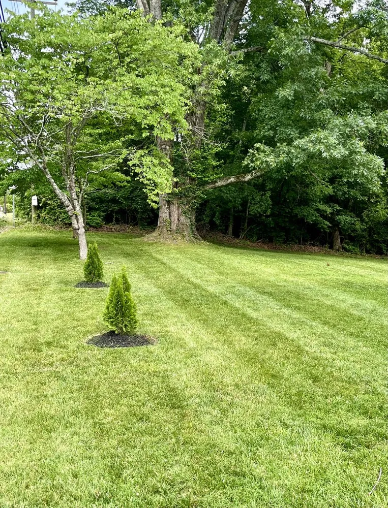 Top-rated garden landscaping experts serving Nashville, TN - Pippin Lawns