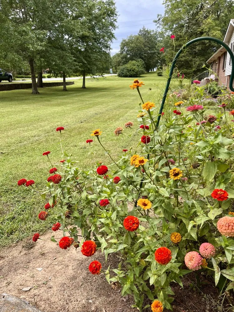 Affordable residential landscaping experts serving Nashville, TN - Pippin Lawns