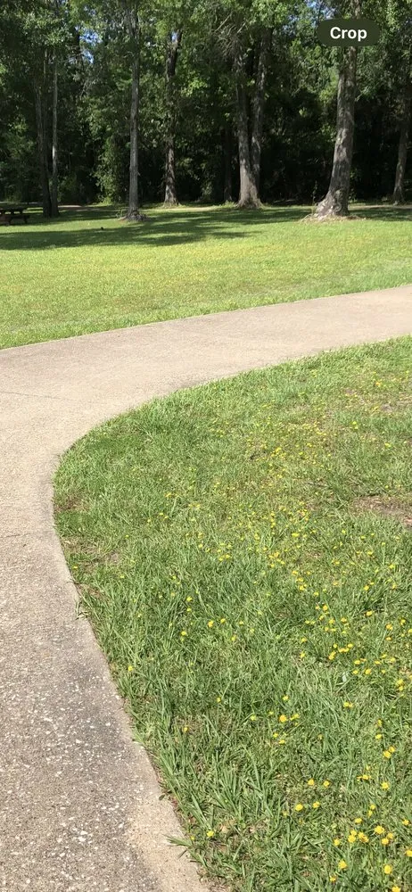 Local landscape installation experts serving Cleveland, TX - Pippin Mowing