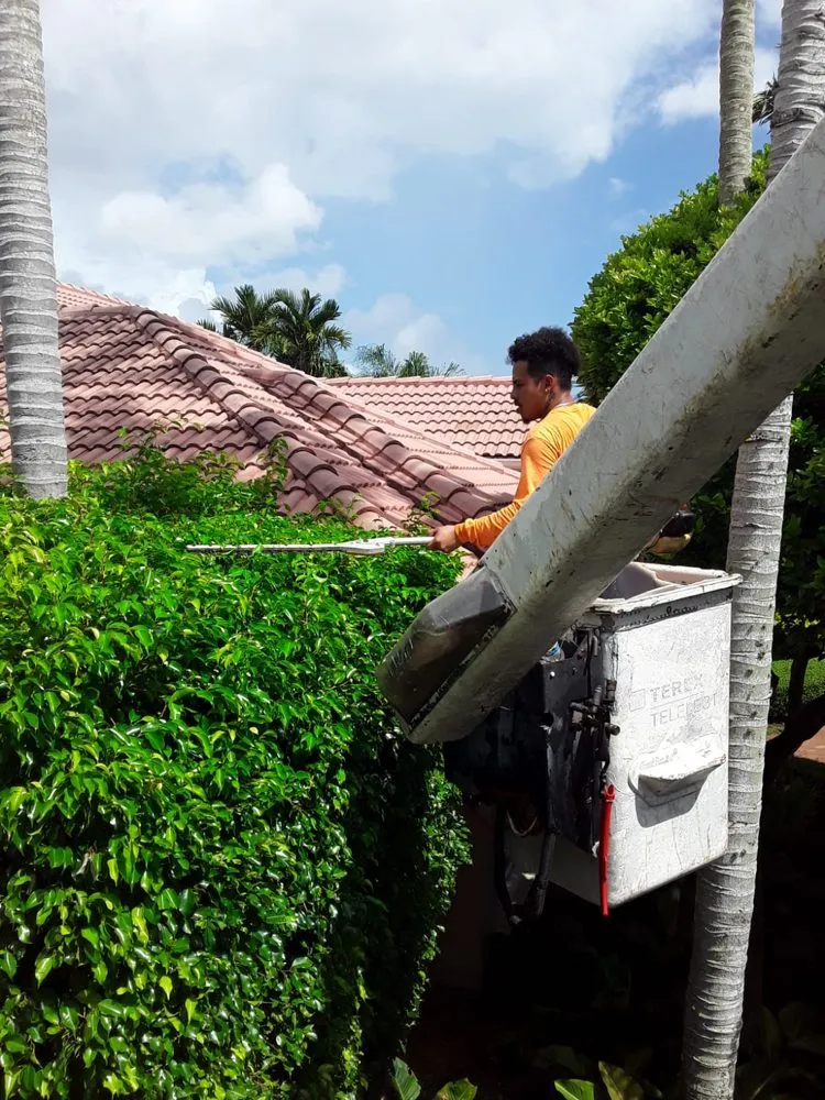 Custom lawn mowing service for beautiful yards across Homestead, FL - Pique Landscaping