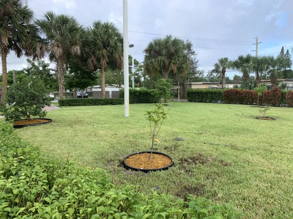 Professional landscape design in Homestead, FL by Pique Landscaping