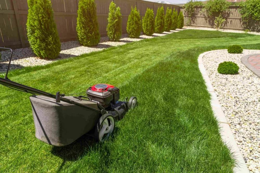 Affordable yard maintenance for residential properties in Jacksonville, FL by Pirate Landscaping