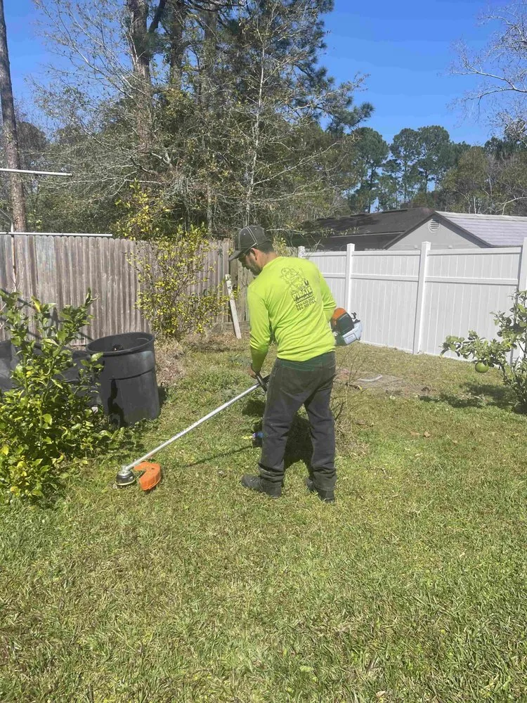 Professional residential landscaping experts serving Jacksonville, FL - Pirate Landscaping