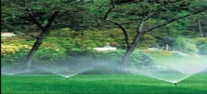 Expert lawn care service in Warminster, PA by Pirate Lawn Service