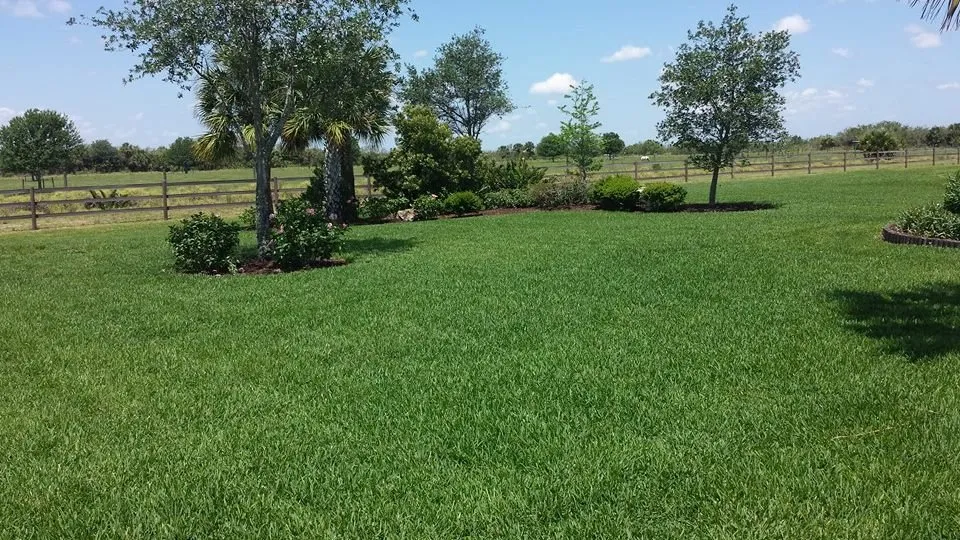 Reliable residential landscaping in Vero Beach, FL - Pirate Pest Control LLC