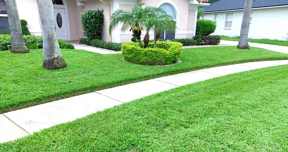 Professional yard cleanup service in Apollo Beach, FL by Pirate’s Cove Lawn Maintenance