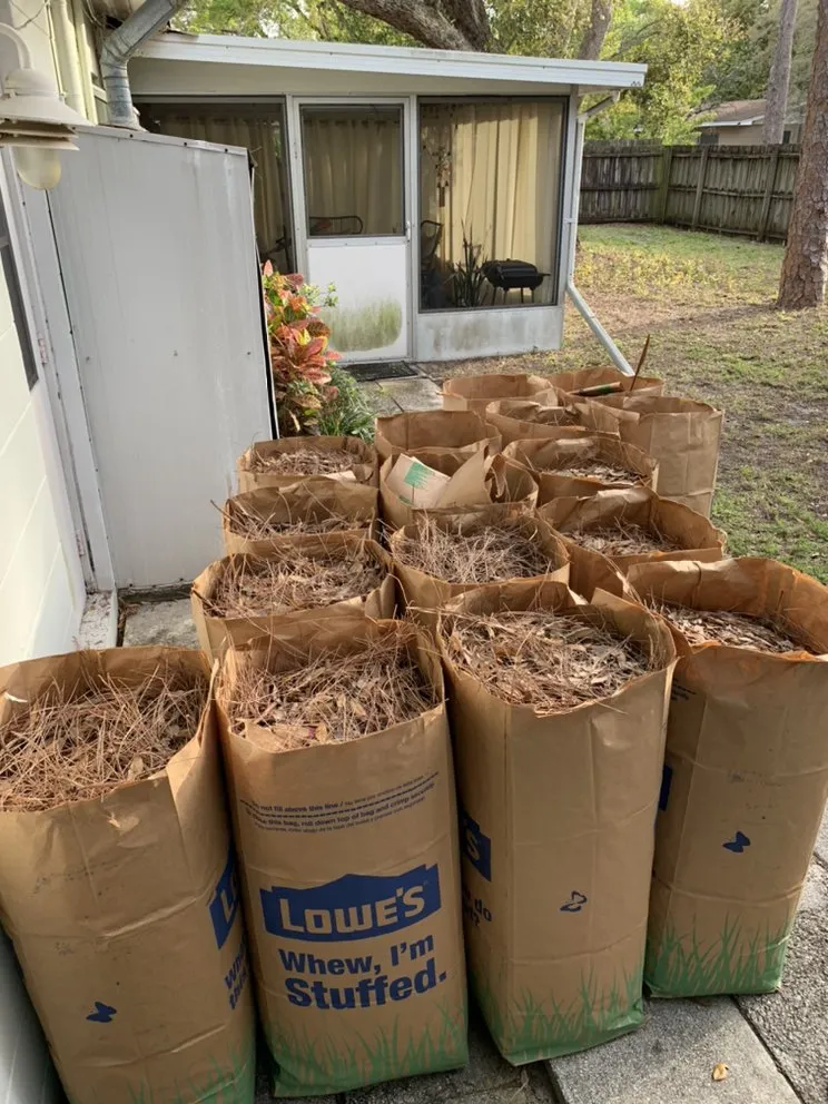 Expert yard maintenance for beautiful yards across Apollo Beach, FL - Pirate’s Cove Lawn Maintenance