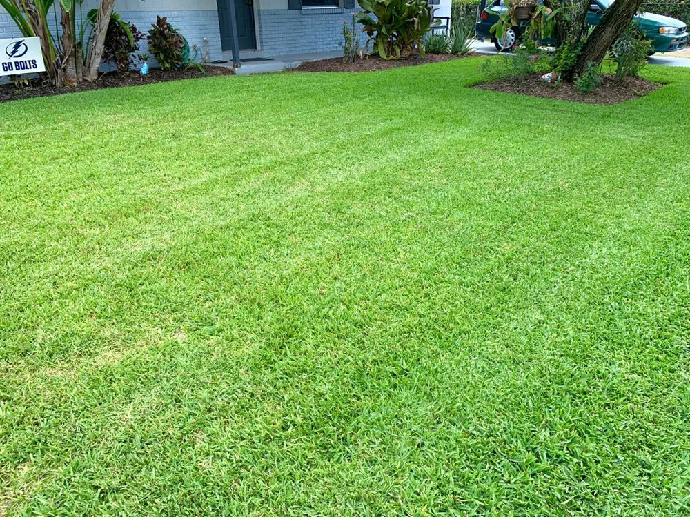 Expert residential landscaping in Apollo Beach, FL - Pirate’s Cove Lawn Maintenance